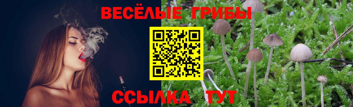 Псилоцибиновые грибы Psilocybe  Вход с VPN  Нефтекамск 